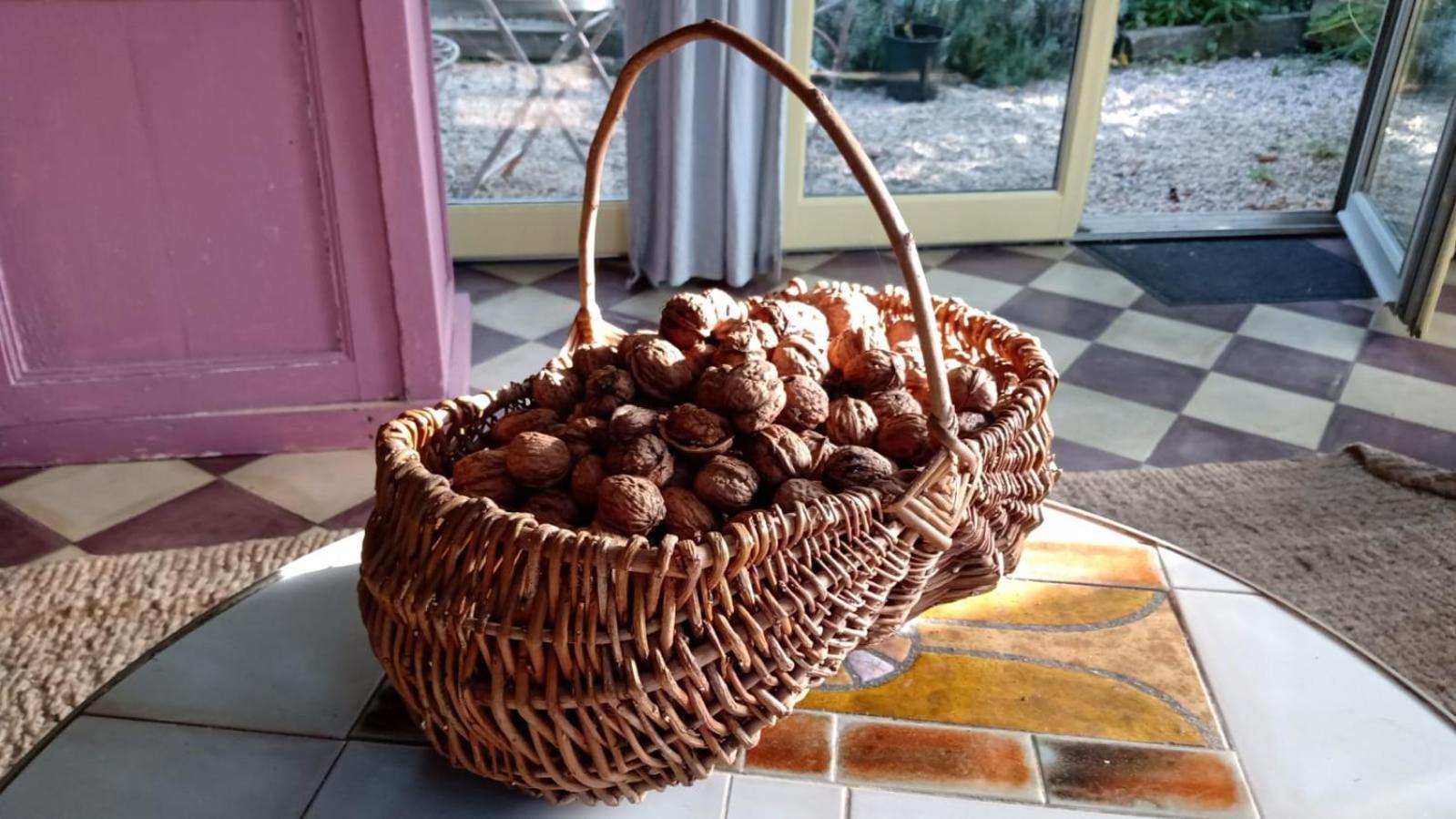 La Demeure Du Figuier Villa Evran Ngoại thất bức ảnh